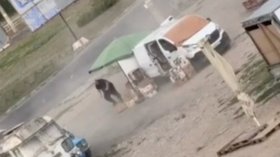 "Светът трябва да види&ldquo;: Зеленски обвини Русия във военно престъпление след атака с дрон срещу цивилен в Херсон