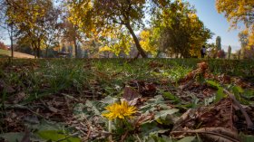 Времето днес: Студено и мъгливо сутринта, до 18 градуса през деня