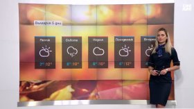 Централна прогноза