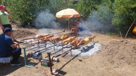 Над 500 чевермета се завъртяха в Паталеница на Гергьовден