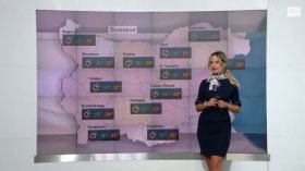 Централна прогноза