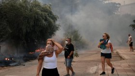 Борба с огъня по въздух и земя: Пожар избухна в борова гора в Южна Гърция