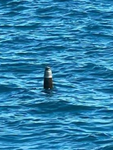 На 13 юли в 14 30 часа на 5 5 мили източно