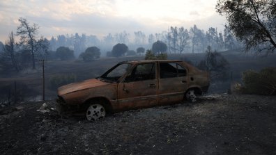 Чудовищният пожар в Халкидики в СНИМКИ