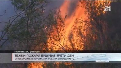 Португалия и Южна Франция обхванати от мощни пожари