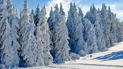 Валежите продължават, на места ще се образува нова снежна покривка