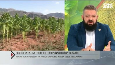 Тютюнопроизводители отказват да реализират част от реколтата си