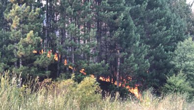 Екстремален индекс за пожароопасност е в сила в 8 области у нас