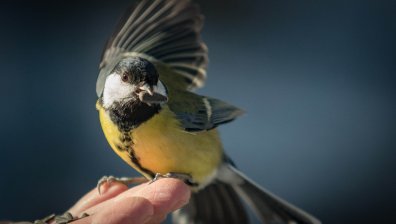 Слънце, на места дъжд, а по планините вятър снегояд топи снежната покривка