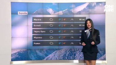 Централна прогноза