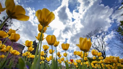 Посрещаме предимно слънчева неделя с високи градуси