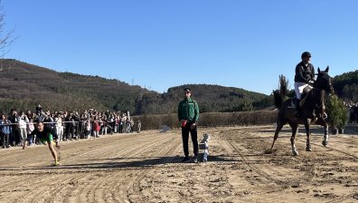 Фотофиниш: Атлет и кон завършиха наравно при надбягването в село Змейово