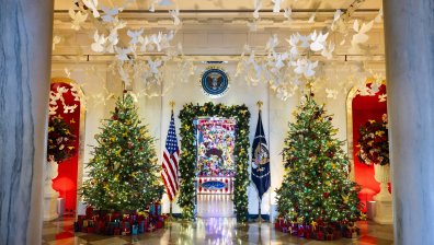 83 коледни елхи грейнаха в Белия дом