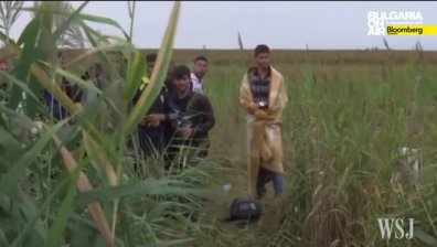 Св. Кьосева: Унгария има план за включване на армията в охраната по границата срещу мигрантите