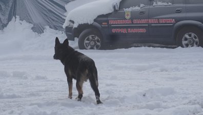 Млада жена е с опасност за живота след инцидент в Пирин