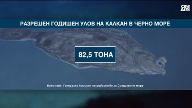 Рибата в Черно море изчезва (+ВИДЕО)