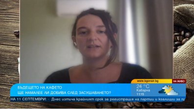 Климатичните промени застрашават производството на кафе