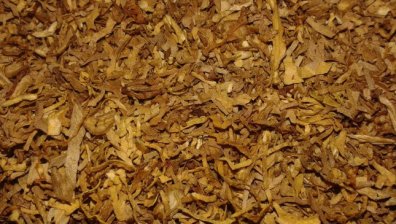 Иззеха 350 кг тютюн без бандерол при проверка в Долни Дъбник