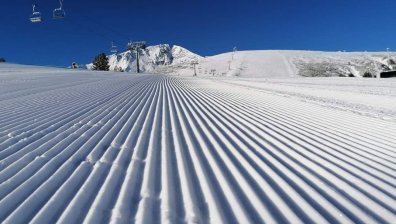 Всеки ден става все по-топло, вятър снегояд топи снежната покривка