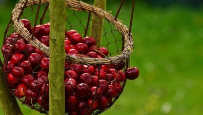Черешите са много вкусни, но и още по-полезни