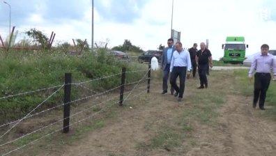Ограничават груповия лов на диви свине заради опасността от чума