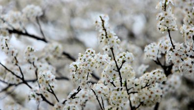 Облаците намаляват, следобед слънцето се показва