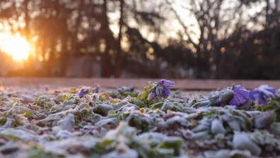 Облачно, но топло начало на седмицата, живакът ще стига до 19 градуса