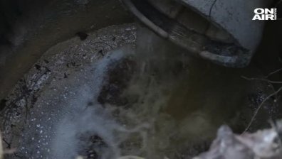 Оцветена вода с неприятна миризма замърсява Дунав край Русе