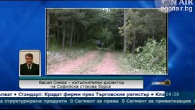 Търсенето на дървесина е по-голямо от предлагането