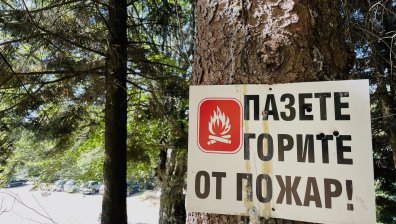 Пожарът в Рила е обхванал около 40 декара гори