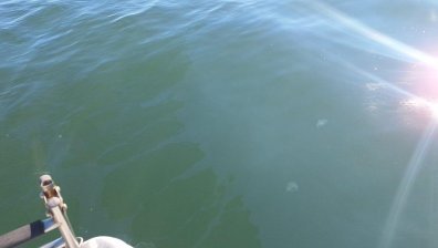 МОСВ не откри замърсяване след потъването на кораба край Маслен нос