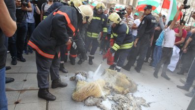 Обрат: Отмениха планираната за днес евтаназия на животни