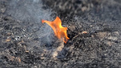 Деца си играха с огън и подпалиха гора в Сливенско