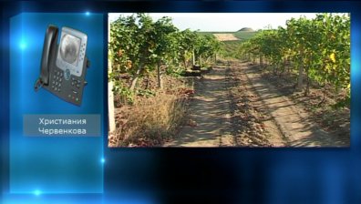 Балкански Международен винен конкурс в София
