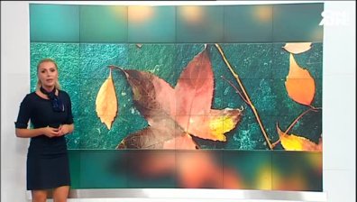 Сутрешна прогноза