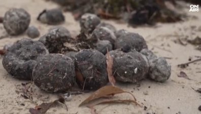 Мистериозни черни топки изплуваха на плажове в Сидни