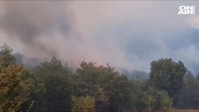 Борят се с огъня в гората край Кирково, около 20 души са напуснали домовете си