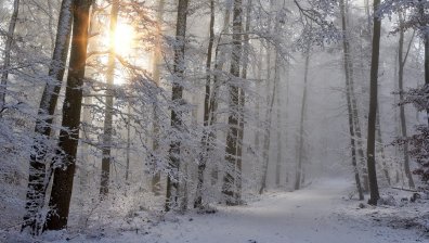 Времето ще бъде ветровито с превалявания от сняг