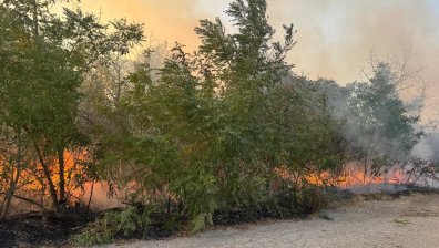 Пожарът в Сакар изпепели над 8000 дка,  местните хора са притеснени (ВИДЕО)