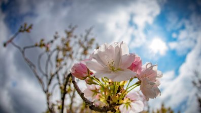Времето днес: Хладно, облачно и дъждовно