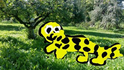 Грег Дацов-моите колажи-2