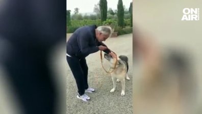 Андреа Бочели осинови ранено от войната в Украйна куче (+ВИДЕО)