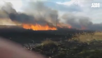 Пак пожар в защитена местност: Гори Дуранкулашкото езеро