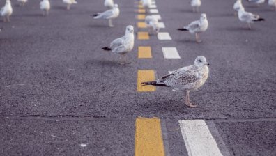 7 неочаквани знака, че ставате за предприемач