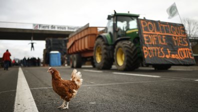 Земеделските протести в Европа в снимки