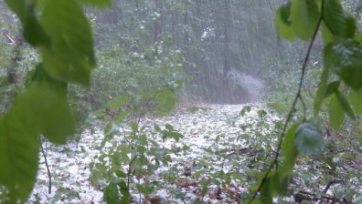Градушки, гръмотевици, силен дъжд днес в България