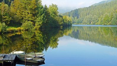 Издирват момче в микроязовир край монтанското с. Габровница