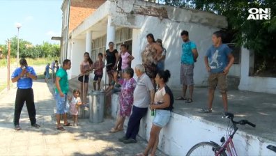 Инвестиция или излишен разход е застраховката на животните?