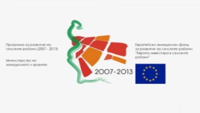 Дъждовете тази година съсипаха голяма част от продукцията на земеделците у нас, заяви Стоян Узунов