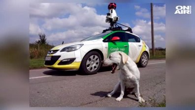 Колите на Google Steet View отново ще кръстосват българските пътища